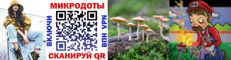 Псилоцибиновые грибы ЛСД  Сокол 