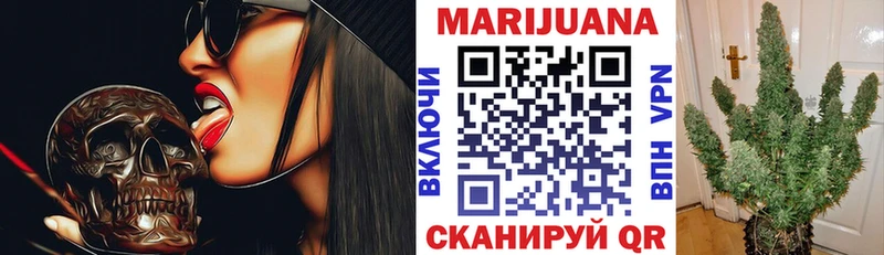 Шишки марихуана White Widow где можно купить Сокол